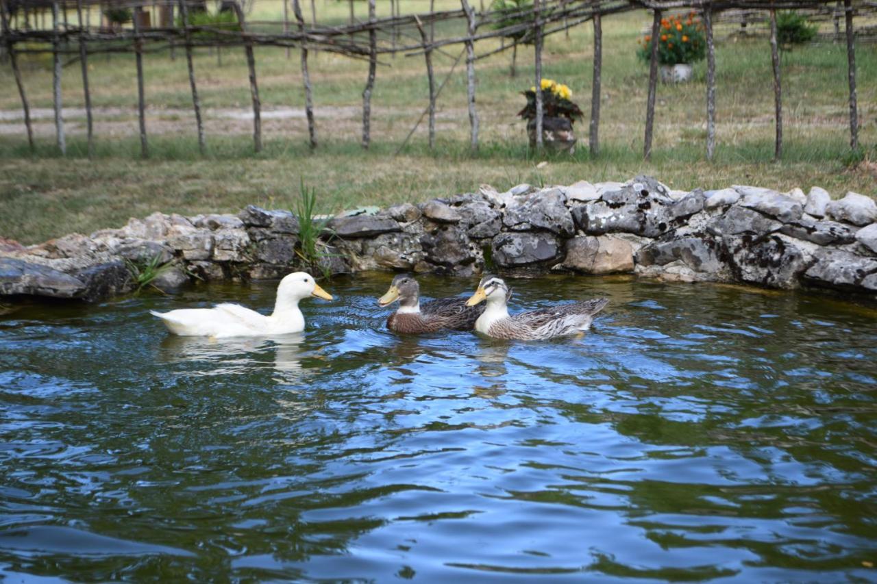 Etno Selo Dodig Villa Drvar Buitenkant foto